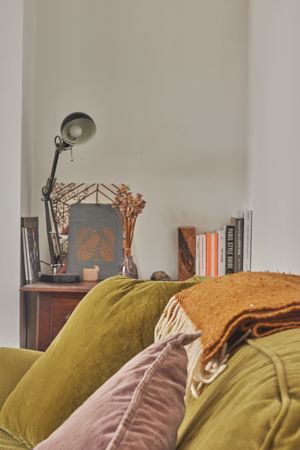 Living Room- click for photo gallery